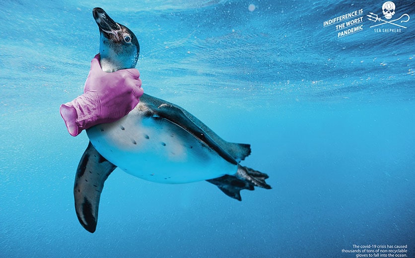 Cette campagne publicitaire met en garde contre les dangers des gants en latex pour les animaux marins