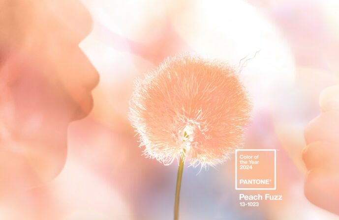 couleur pantone 2024 : peach fuzz