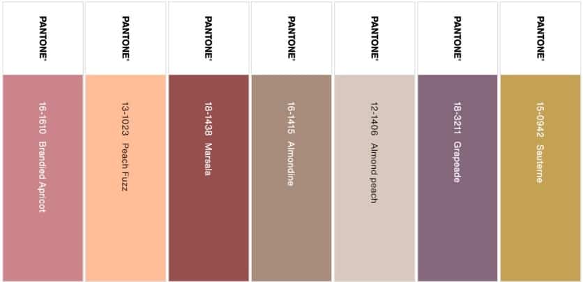 palette libation color of the year 2024 PANTONE
