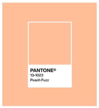 Couleur pantone 2024 : peach fuzz 13 2023
