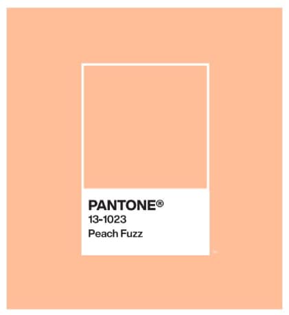 Couleur pantone 2024 Couleur pantone 2024 : peach fuzz 13 2023