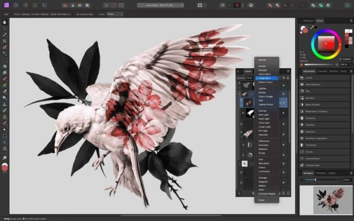 Logiciel de création graphique Affinity Designer 