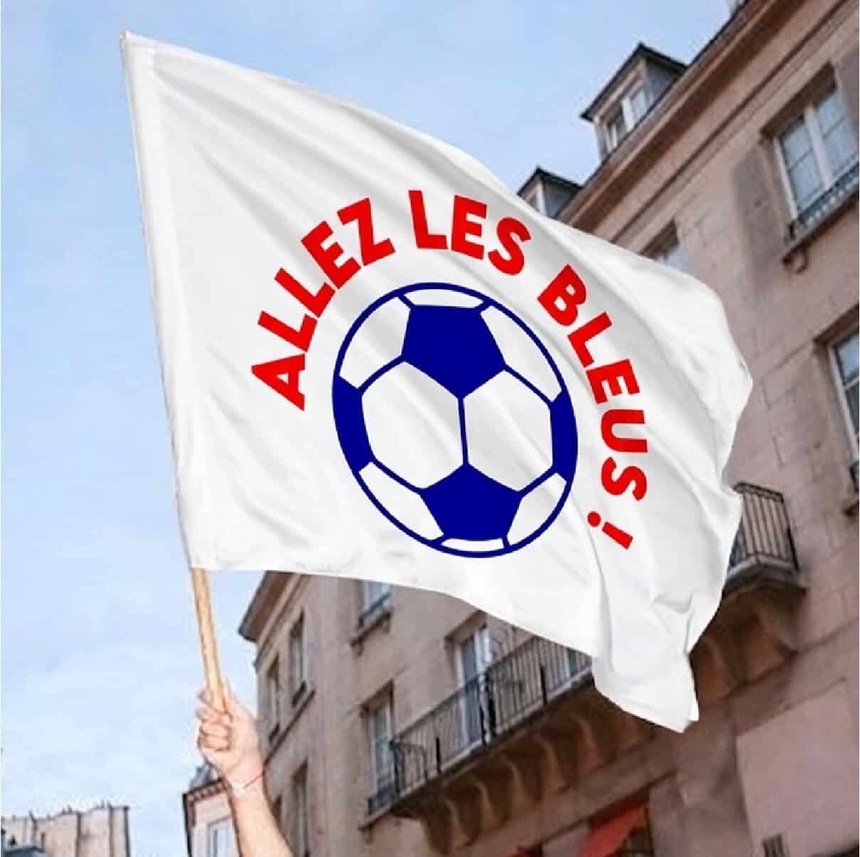 drapeau@4x 100