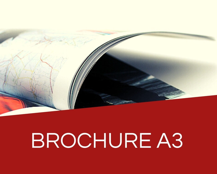 Example Machine Brochure A3 Brochure A3 | Impression - Pas Cher | Brochures Format A3 | PRINTOCLOCK