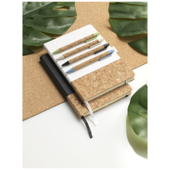 Ecologique stylo bille Midar