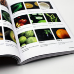 Brochure publicitaire