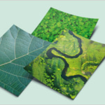 Flyers écologiques