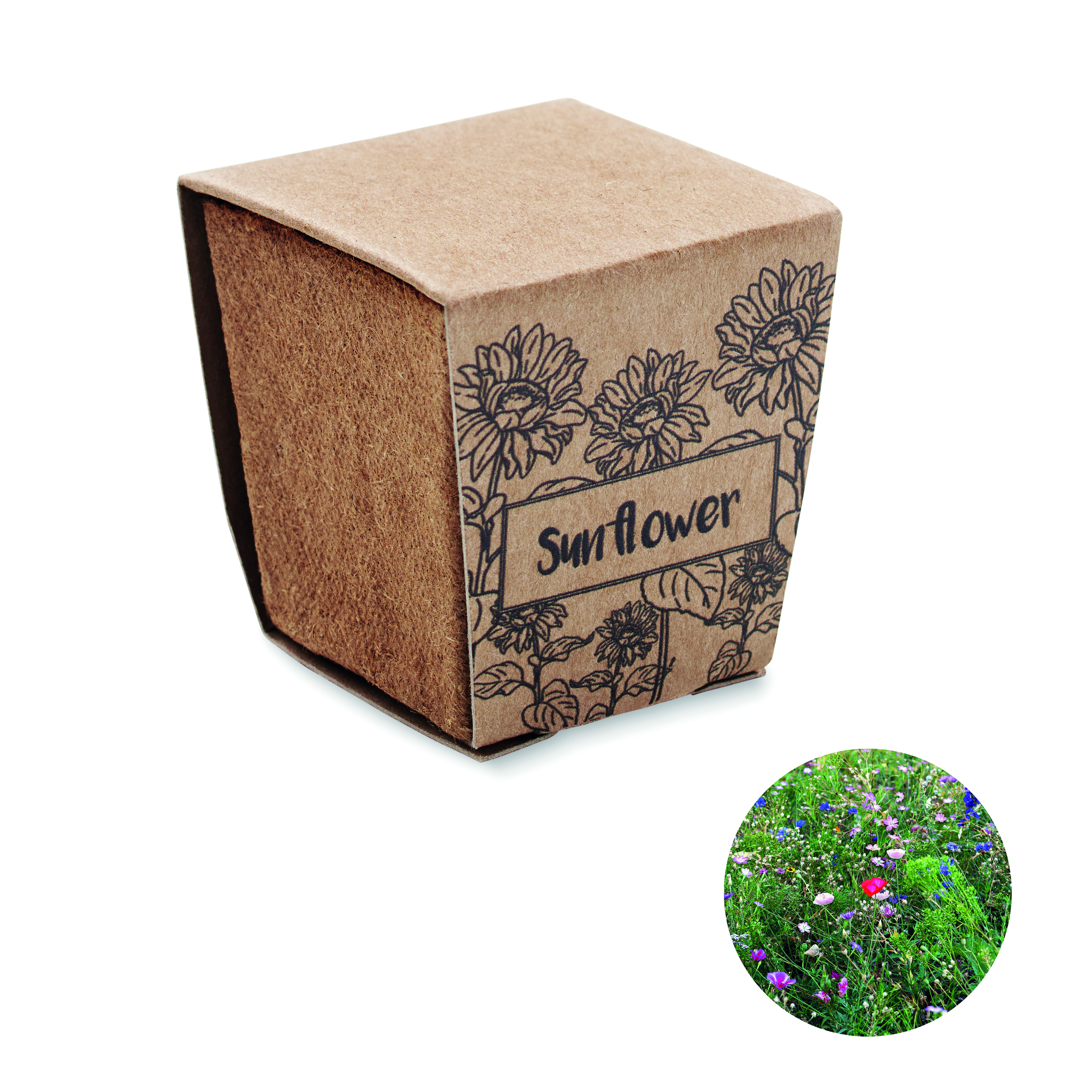 Kit de tournesol
