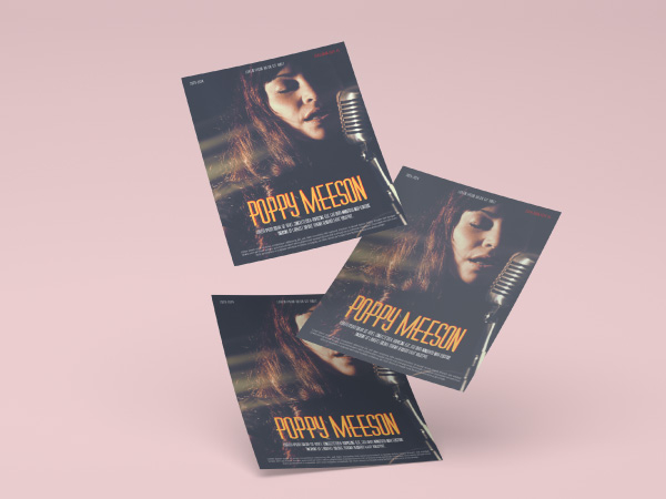 500 Flyers 9,9 x 21 (DL) cm