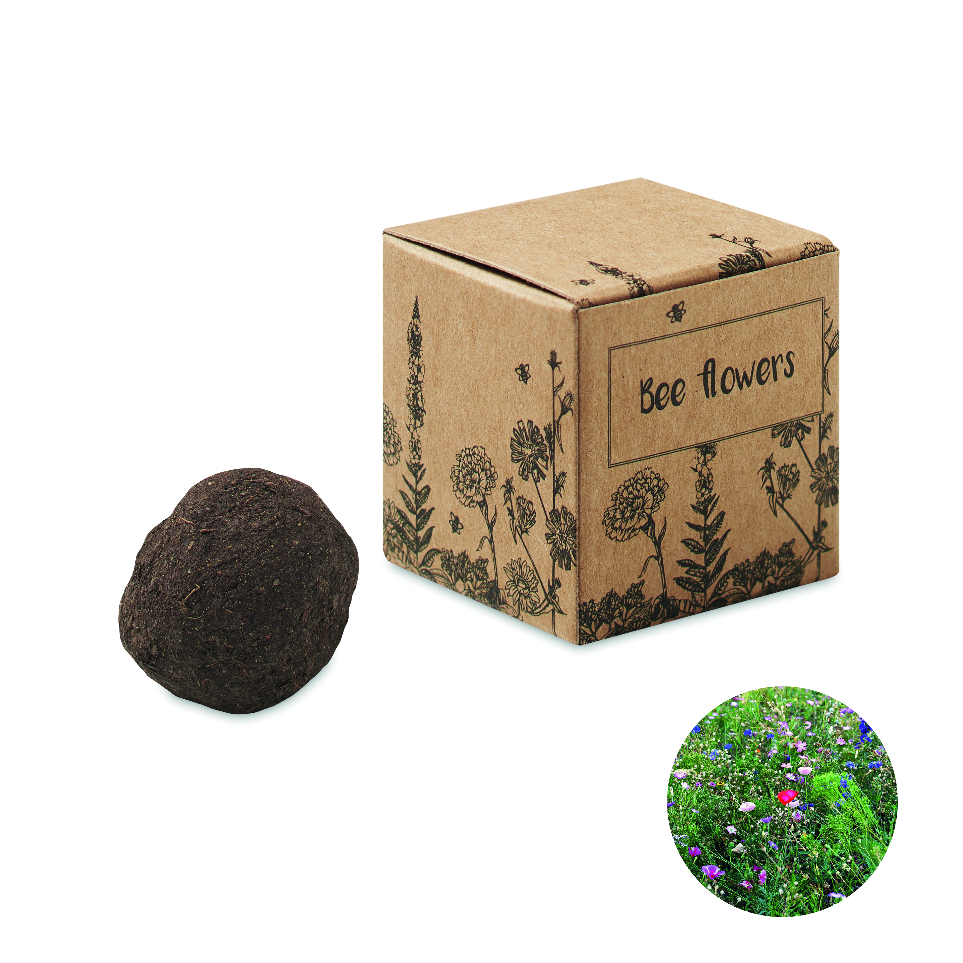 Bombe graines fleurs d'abeille