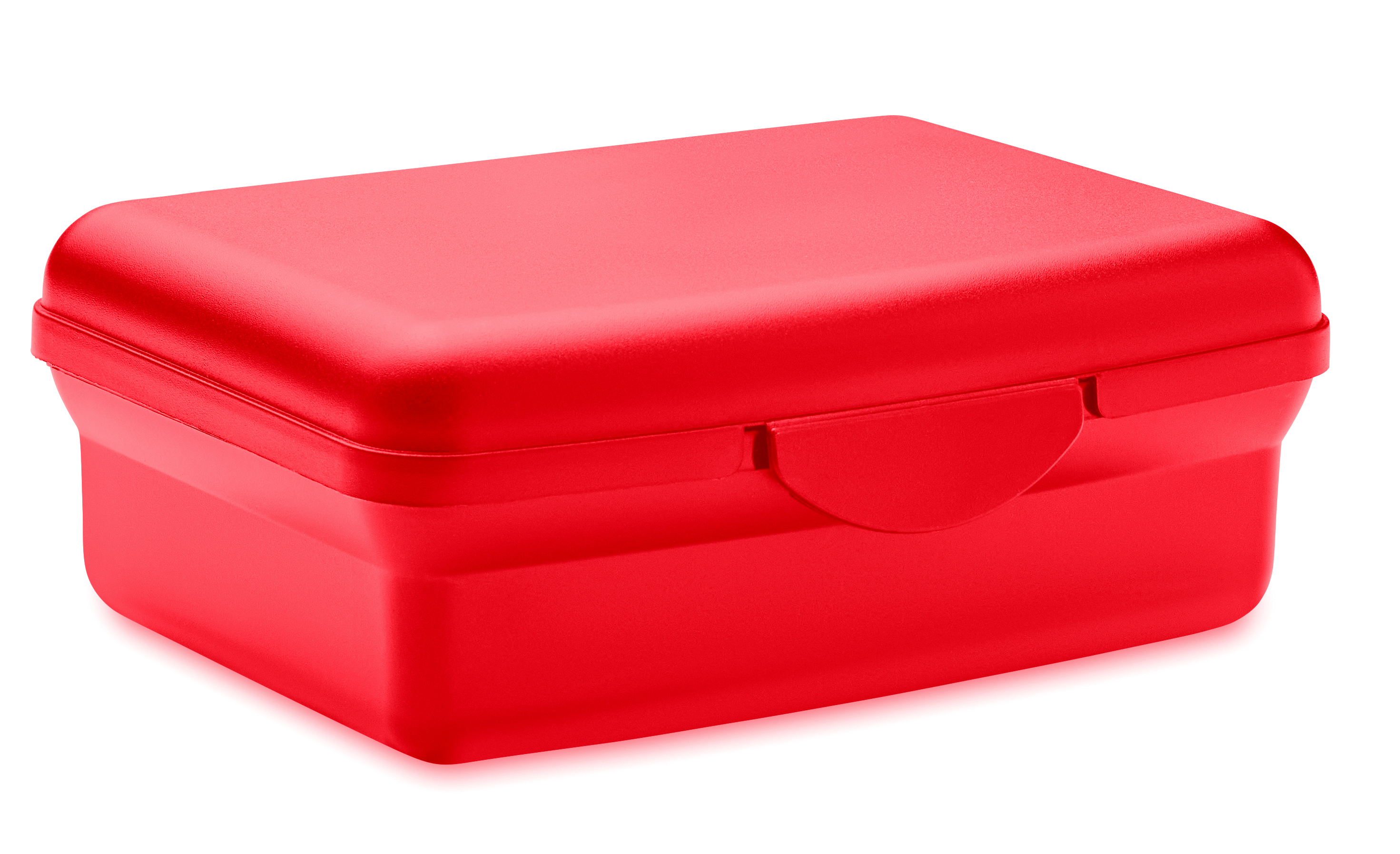 Lunchbox en PP 800ml
