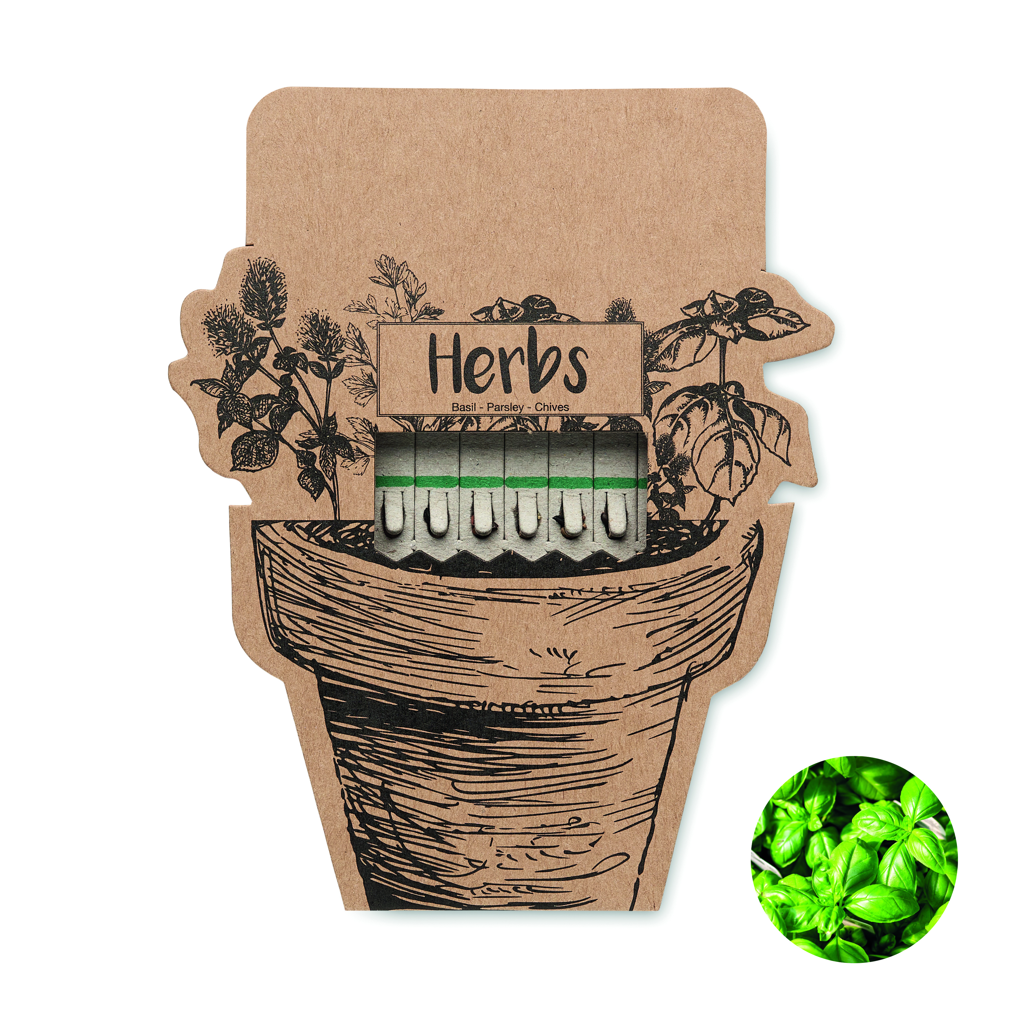 Bâtons de graines d'herbes aromatiques