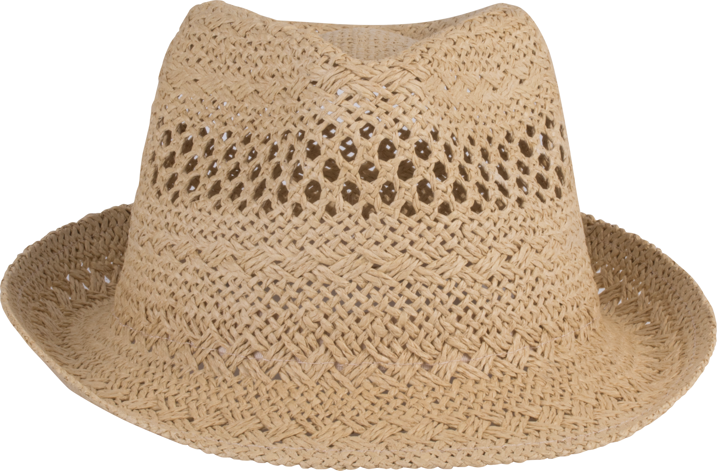 Chapeau style Panama