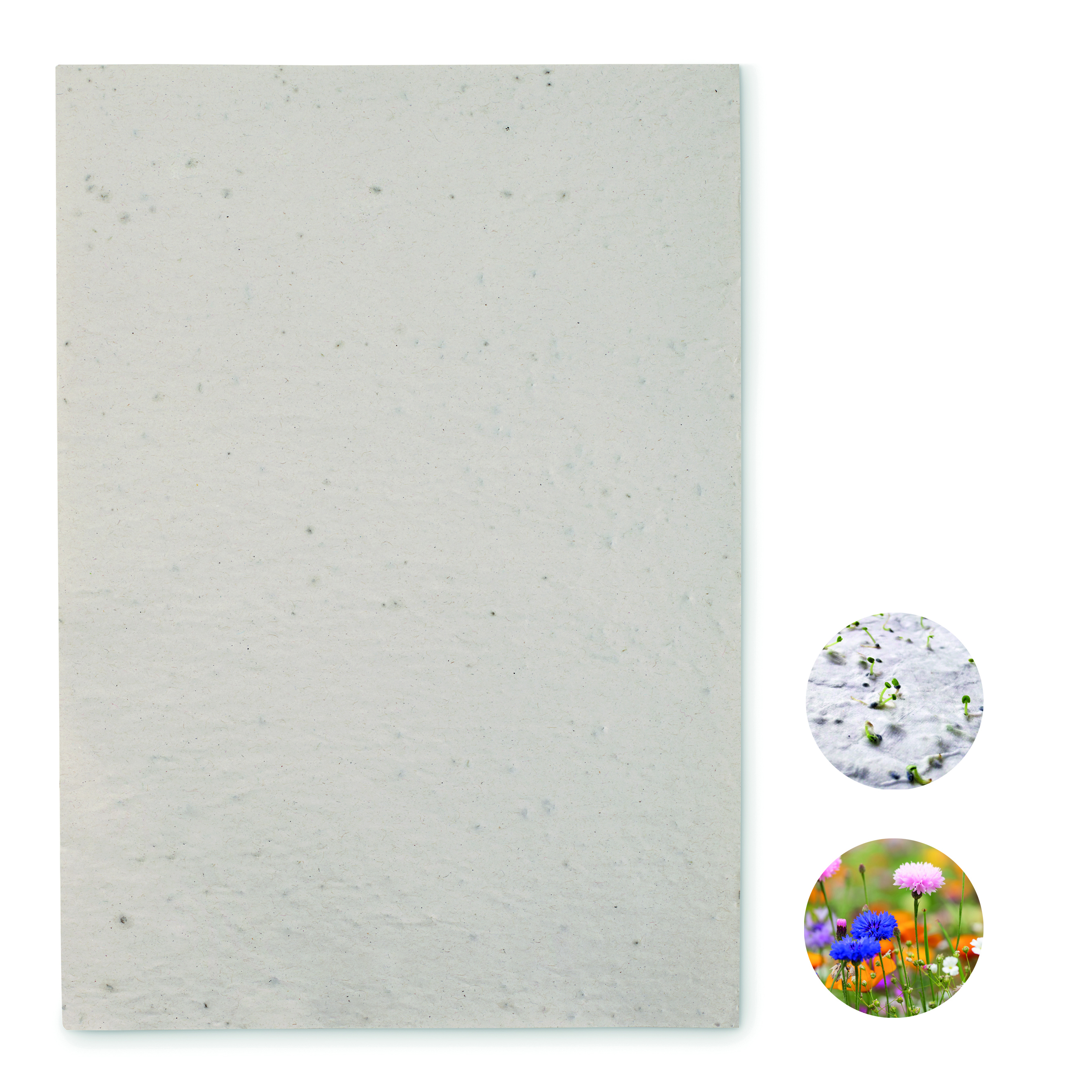 Papier A4 graines de fleurs recyclé ensemencé