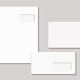 250 Enveloppes DL - Papier 80 g/m² Offset (11 x 22 cm)