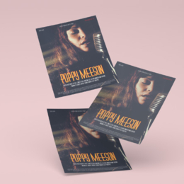 500 Flyers 9,9 x 21 (DL) cm