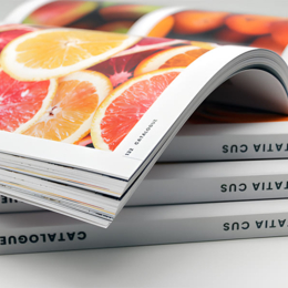 100 Brochures A5 8 pages