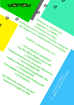 flyer communication