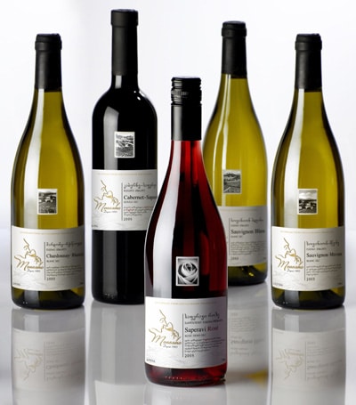 200 Pièces Étiquettes de Bouteille de Vin,Étiquettes Réutilisables Vin Étiquettes De Bouteille Étiquettes Vierges,pour Enregistrer Les Informations sur Bouteille Vin Blanc 