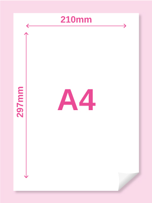 Quelle est la taille du format A4 ?